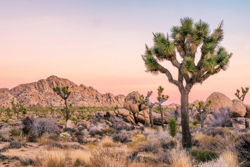 Mojave dessert mountains and smoky pink clouds